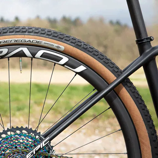  29 Specialized Renegade Control 2BR Tan Sidewalls 29x2.3-0
